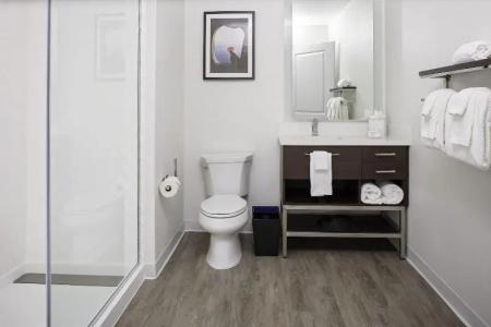 TownePlace Suites by Marriott Orlando Airport - 55