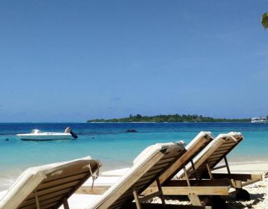 Season Paradise - 25