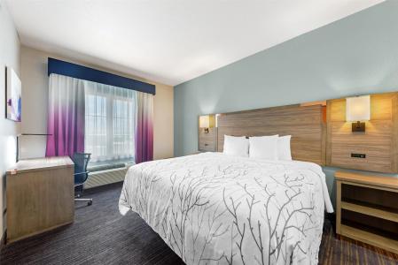Best Western Plus San Antonio East Inn & Suites - 82