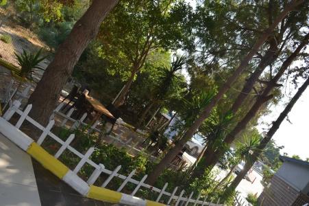 Bülent Kocabaş-Selinus Beach Club - 39