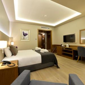 Holiday Inn Bursa - City Centre, An Ihg - 49