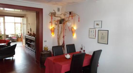 B&B Den Witten Leeuw - 17