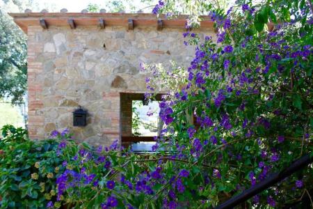 Poggio Al Vento - 41