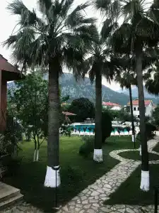 Palme Dalyan - 38