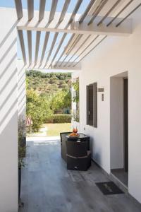Sunny Garden - 35