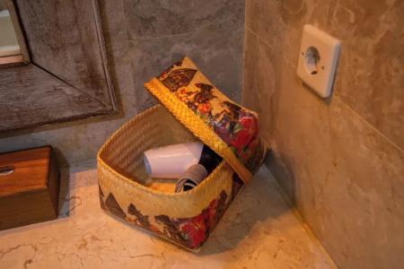 Alam Puri Art Museum Resort & Spa - 15