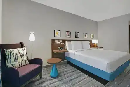 Hilton Garden Inn Houston Medical Center, Tx - 46