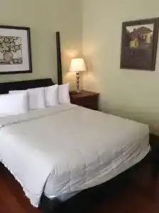 The Queen Anne - 26
