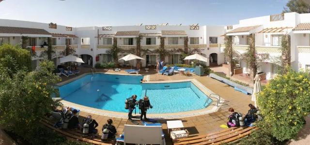 Camel Dive Club & - Boutique - 39
