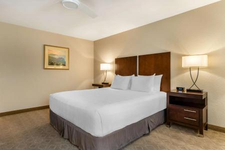 Best Western Plus Inn - 63