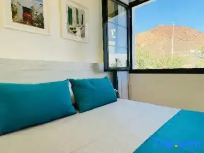 Palmeras Garden - 164