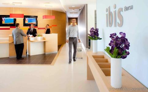 Ibis Bursa - 23