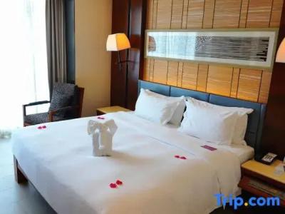 Crowne Plaza Sanya City Center, An Ihg - 217