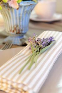 Resort Il Gallo Senone - 28