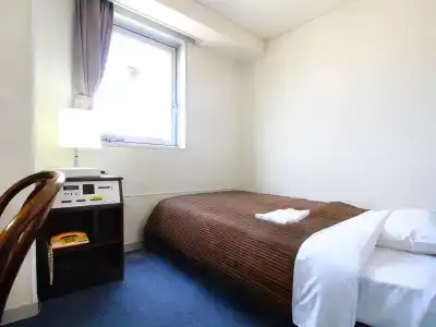 Royal Inn Kakegawa (Station 2) - 19