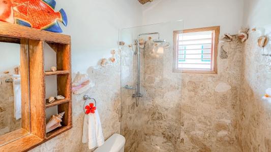 Paradiso del Caribe - 243