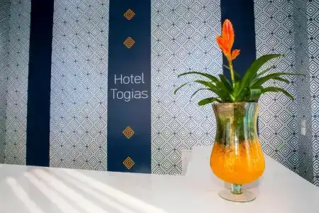 Togias - 15