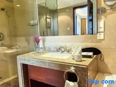 Dynasty International - 28
