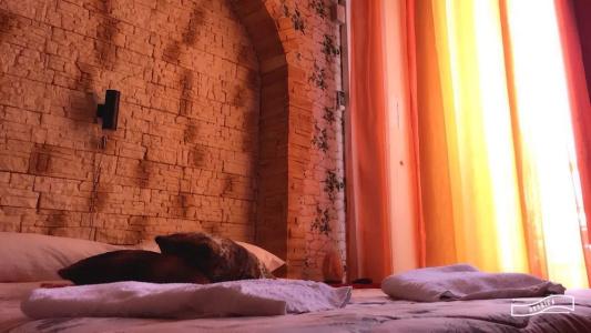 b&b Camelot - 57