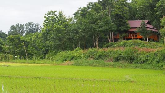 Nan Seasons Boutique Resort - 90