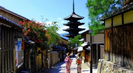 Toyoko Inn Kyoto Gojo omiya - 25