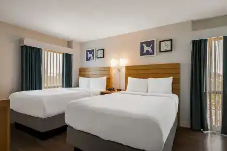 Sonesta ES Suites Orlando International Drive - 6