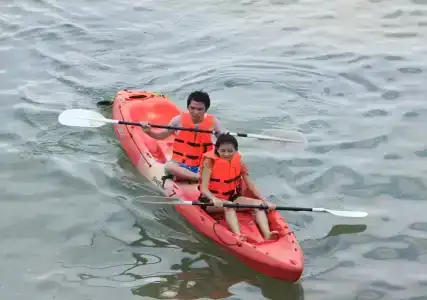 Pikun - 5