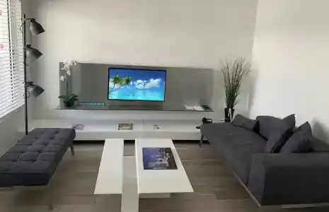 Beach Haus Key Biscayne Contemporary - 27