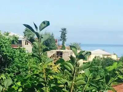 Villa la familia - 37