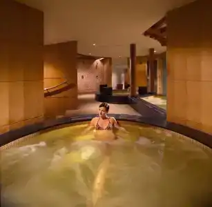 Swissotel The Stamford - 32