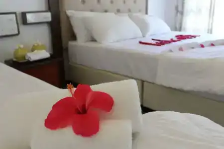 Thoddoo Inn - 6