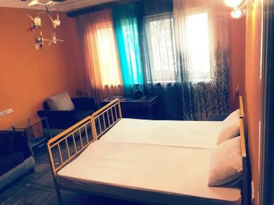 Zebra Hostel and Tours - 10