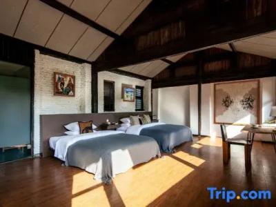 Adonis Inn - 19