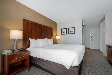 Comfort Inn The Pointe - 5