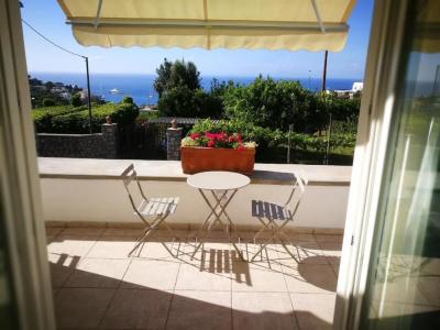 Villa Patrizi - 48