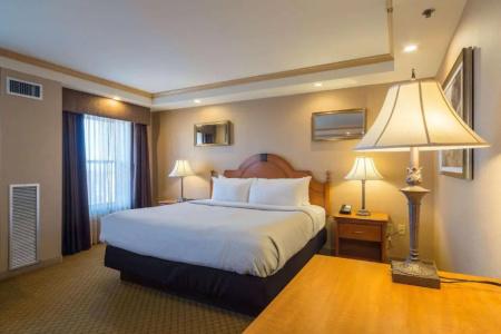 Ambassador, Trademark Collection by Wyndham - 10