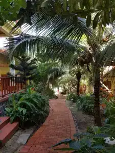 Free Beach Resort - 150