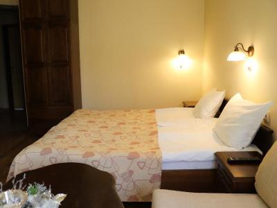Guest House Mountain Romance & Free Sauna and Steam Bath - 50