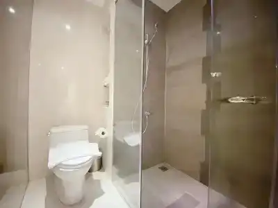 The Luxe - 100