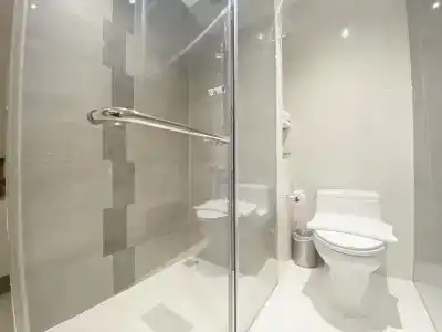 The Luxe - 14