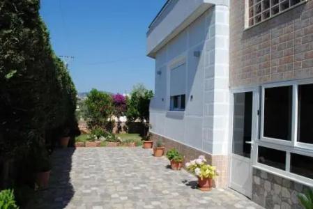 Apollonia - 7