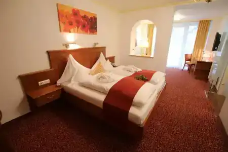 Angerhof Kur- Und Thermenhotel - 4
