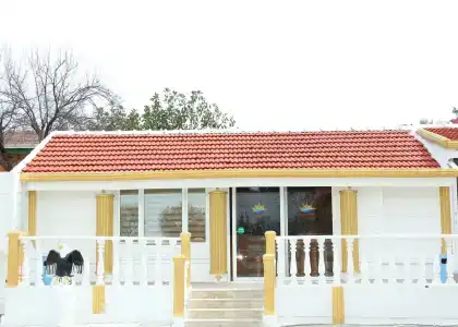 Side Temple - 19