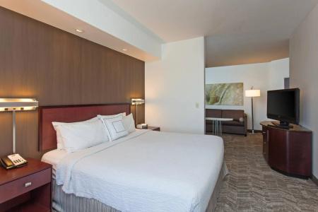 SpringHill Suites by Marriott - 15