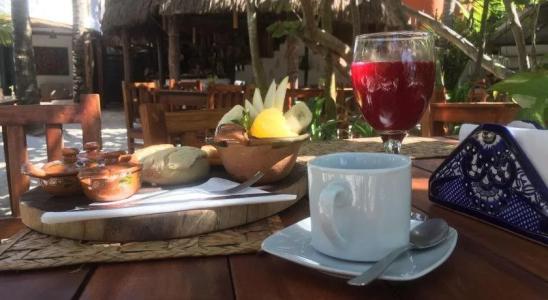 Dos Ceibas Eco Retreat Tulum - 10