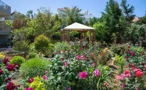 Stamatakis Boutique Studios - 107