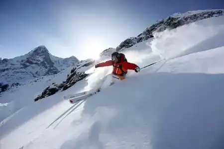Krebs Interlaken - 24