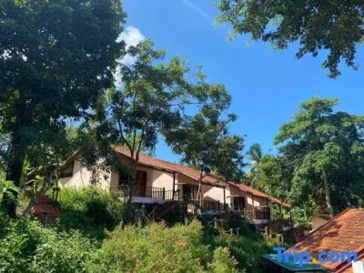 Daisy Resort - 84