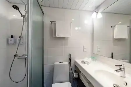 Scandic Rauma - 62