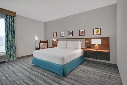 Hilton Garden Inn Houston Medical Center, Tx - 49